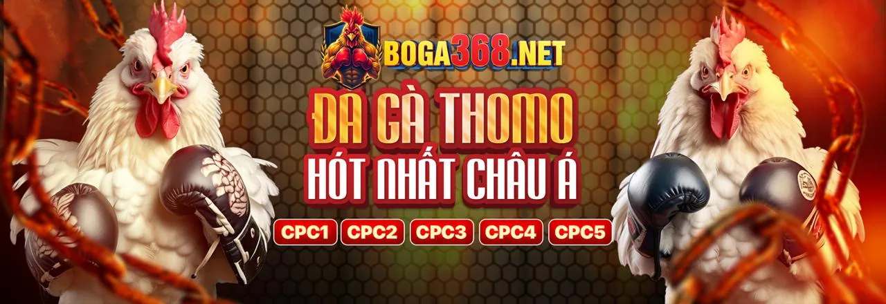 Đá Gà Trực Tuyến 09vip Khuyến Mãi Hấp Dẫn